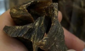 绿奇楠厚壳料金丝糖结品种高品质老料 绿棋楠的价值和功效作用