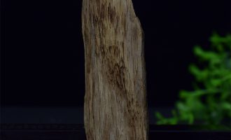 沉香该怎么养护及盘玩？