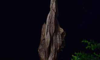 沉香在中药中有什么副作用和禁忌呢？