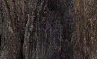 沉香熏香在我们日常生活中有什么妙用？