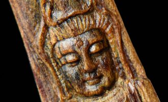 人工结香：开启沉香产业新征程