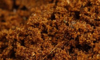 沉香碎料：方寸之间藏乾坤
